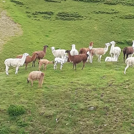 Au Pied Du Pic Du Midi A Apartment La Mongie